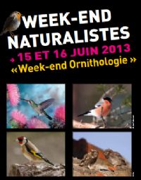 Week-end naturalistes : ornithologie. Du 15 au 16 juin 2013 à Toulouse. Haute-Garonne. 